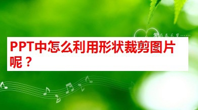 PPT中怎么利用形状裁剪图片呢