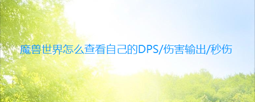 魔兽世界怎么查看自己的DPS/伤害输出/秒伤