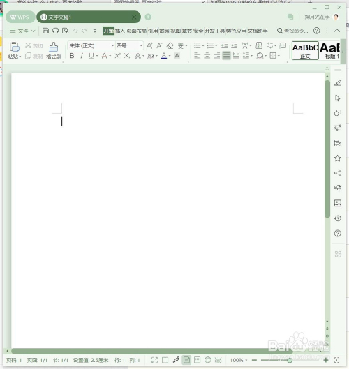 如何在WPS中输入商标、已注册等符号